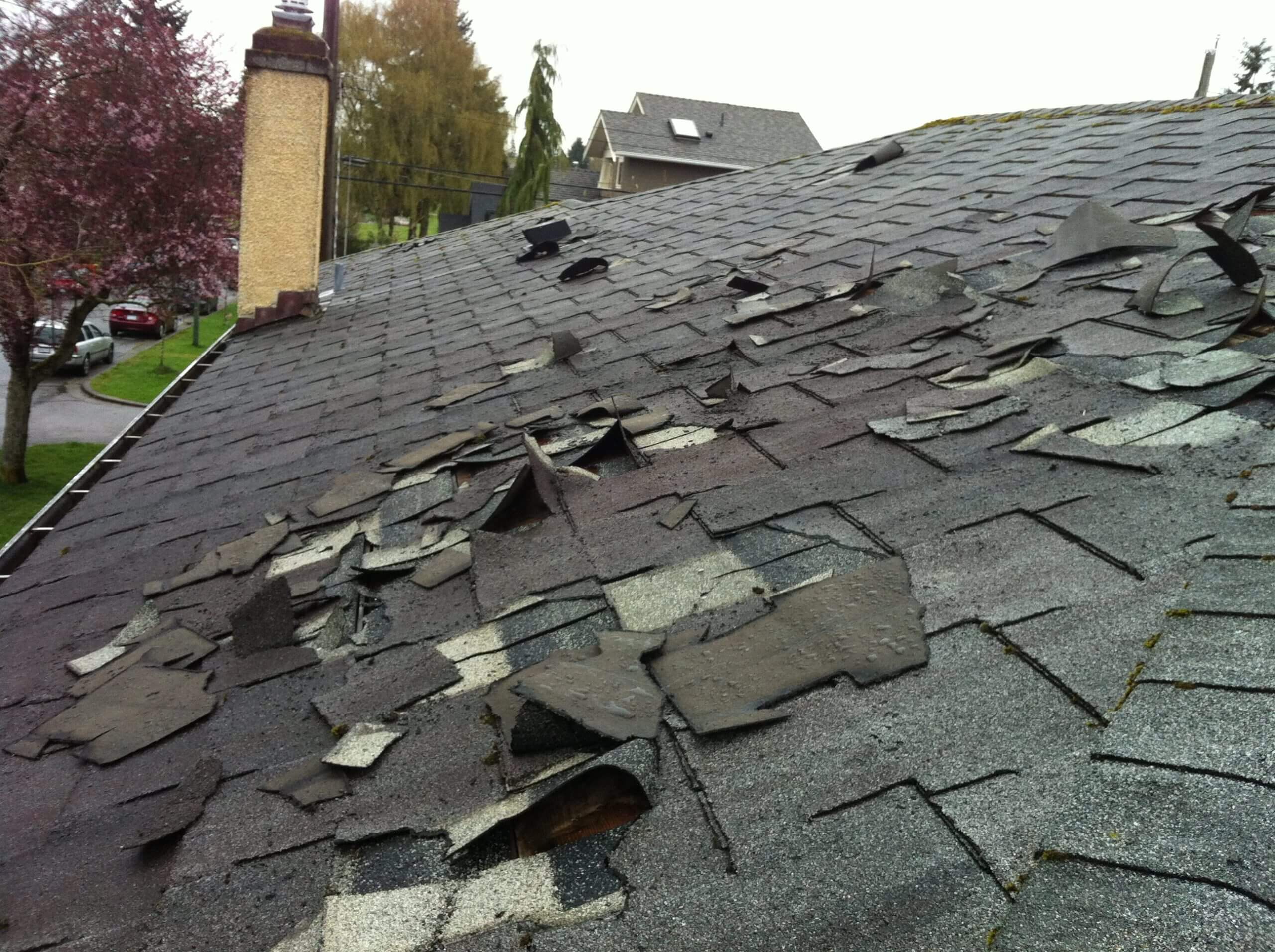 How Public Adjusters Simplify Hail and Wind Damage Claims