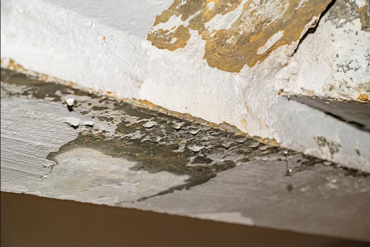 Get The Most From Your Roof Leak Coverage With A Public Adjusters Expertise