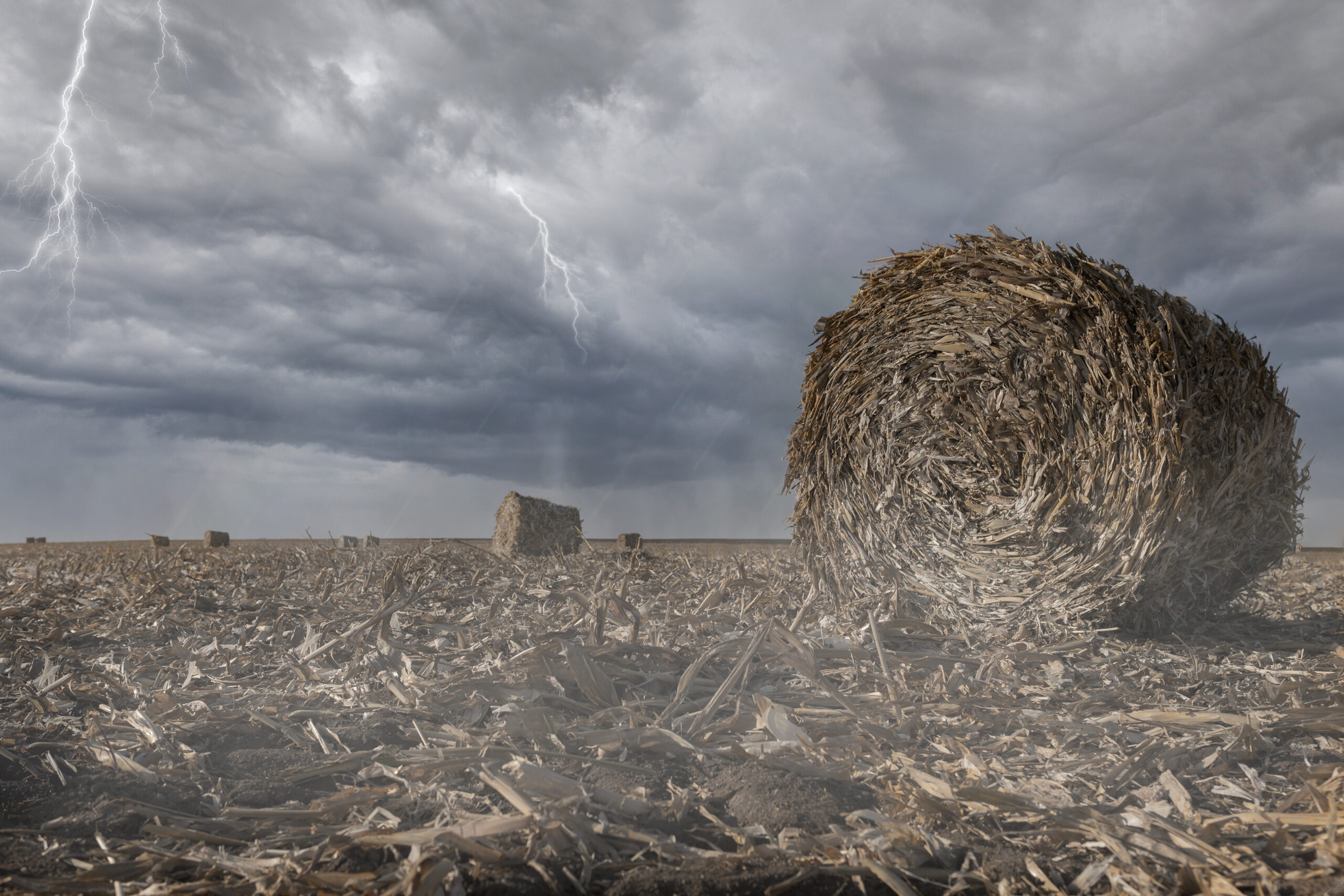 Hail And Wind Damage 101 - What Every Property Owner Should Know